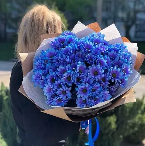 Букет из 13 крашеных кустовых хризантем